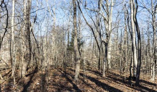 Photo of 3.01 Acres of Residential Land For Sale in Orange County NC!
