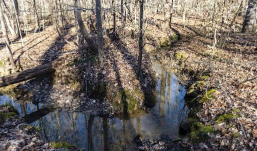 Photo of 3.01 Acres of Residential Land For Sale in Orange County NC!