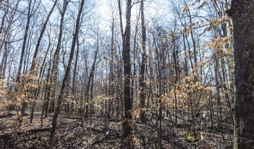 Photo of 3.01 Acres of Residential Land For Sale in Orange County NC!
