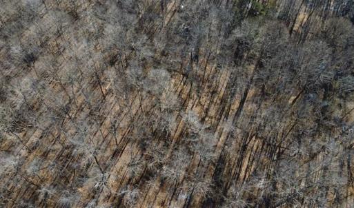 Photo of 3.01 Acres of Residential Land For Sale in Orange County NC!