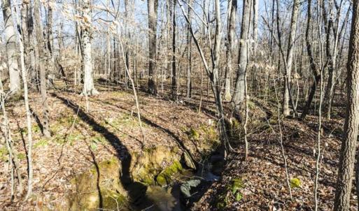 Photo of 3.01 Acres of Residential Land For Sale in Orange County NC!