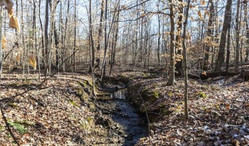 Photo of 3.01 Acres of Residential Land For Sale in Orange County NC!