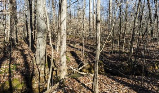 Photo of 3.01 Acres of Residential Land For Sale in Orange County NC!