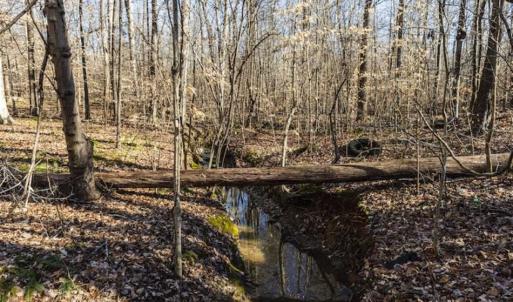 Photo of 3.01 Acres of Residential Land For Sale in Orange County NC!