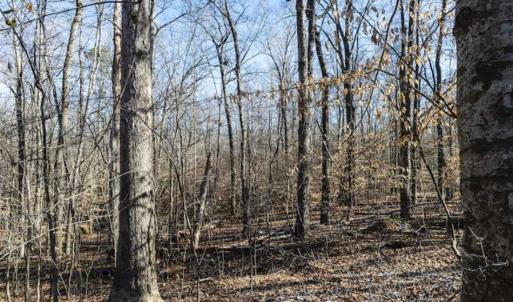 Photo of 3.01 Acres of Residential Land For Sale in Orange County NC!