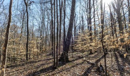Photo of 3.01 Acres of Residential Land For Sale in Orange County NC!