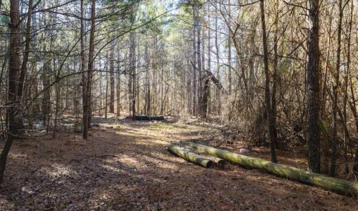 Photo of 15 Acres + / -  of Timber and Residential Land For Sale in Franklin County NC!