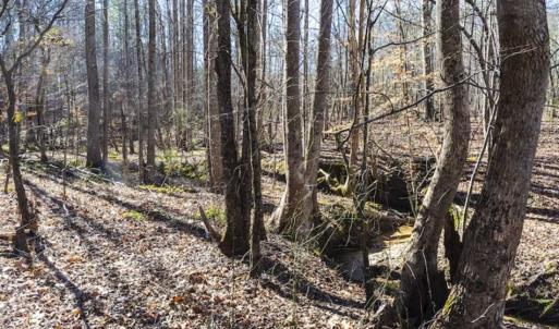 Photo of 15 Acres + / -  of Timber and Residential Land For Sale in Franklin County NC!
