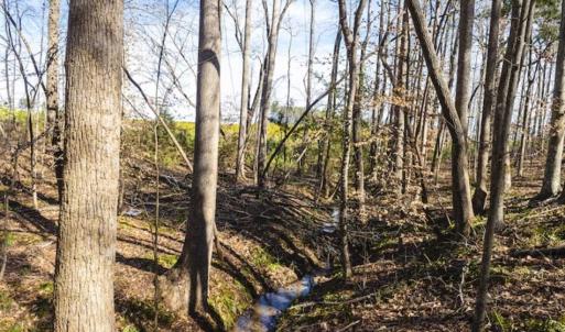 Photo of 15 Acres + / -  of Timber and Residential Land For Sale in Franklin County NC!
