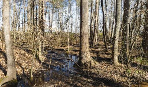 Photo of 15 Acres + / -  of Timber and Residential Land For Sale in Franklin County NC!