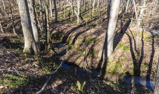 Photo of 15 Acres + / -  of Timber and Residential Land For Sale in Franklin County NC!