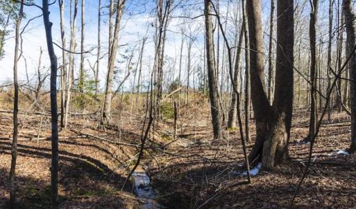Photo of 15 Acres + / -  of Timber and Residential Land For Sale in Franklin County NC!