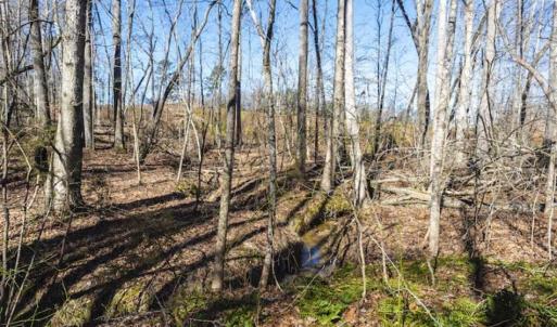 Photo of 15 Acres + / -  of Timber and Residential Land For Sale in Franklin County NC!