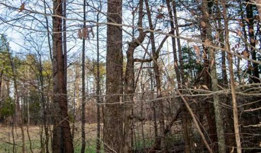Photo of 20 acres of Hunting and Recreational Land For Sale in Halifax County VA!