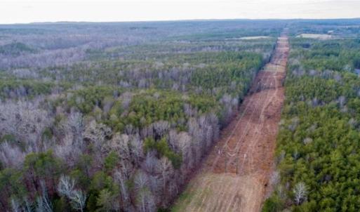 Photo of 20 acres of Hunting and Recreational Land For Sale in Halifax County VA!