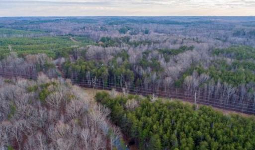 Photo of 20 acres of Hunting and Recreational Land For Sale in Halifax County VA!