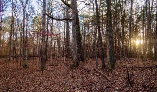 Photo of 20 acres of Hunting and Recreational Land For Sale in Halifax County VA!