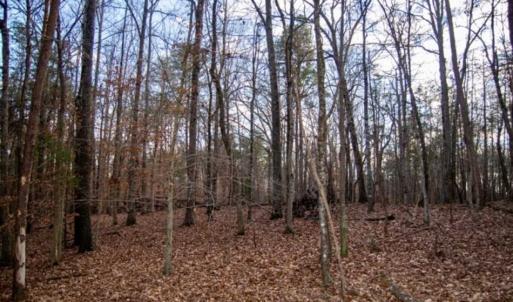 Photo of 20 acres of Hunting and Recreational Land For Sale in Halifax County VA!