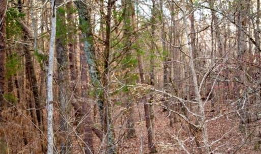 Photo of 20 acres of Hunting and Recreational Land For Sale in Halifax County VA!