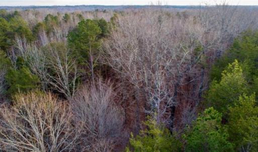 Photo of 20 acres of Hunting and Recreational Land For Sale in Halifax County VA!