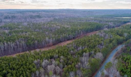 Photo of 20 acres of Hunting and Recreational Land For Sale in Halifax County VA!