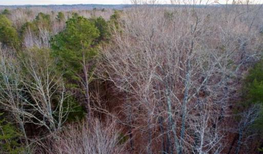 Photo of 20 acres of Hunting and Recreational Land For Sale in Halifax County VA!