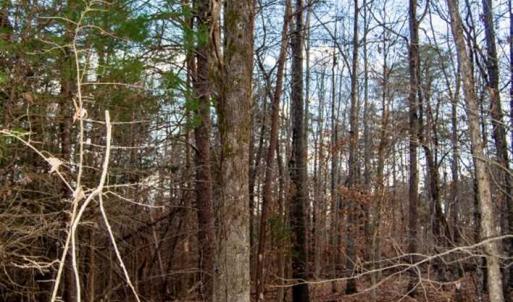 Photo of 20 acres of Hunting and Recreational Land For Sale in Halifax County VA!