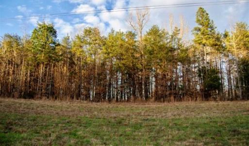 Photo of 20 acres of Hunting and Recreational Land For Sale in Halifax County VA!