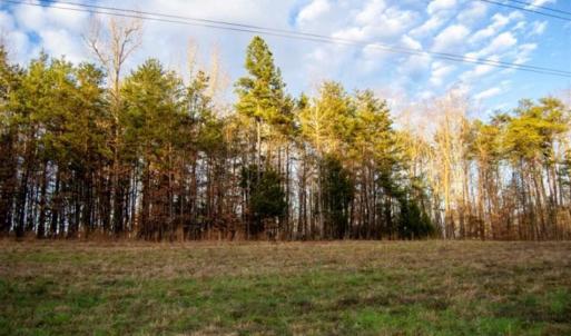 Photo of 20 acres of Hunting and Recreational Land For Sale in Halifax County VA!