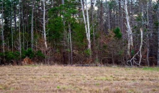 Photo of 20 acres of Hunting and Recreational Land For Sale in Halifax County VA!