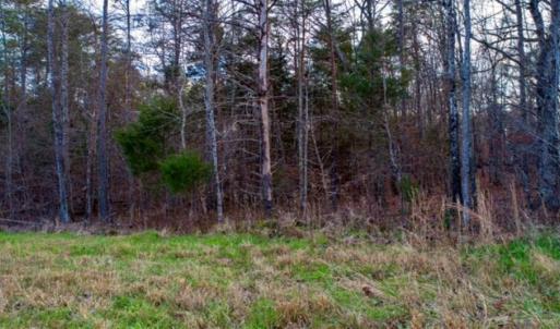 Photo of 20 acres of Hunting and Recreational Land For Sale in Halifax County VA!