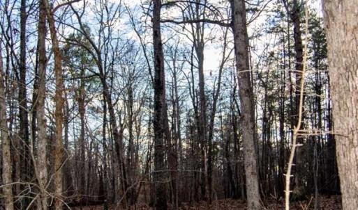 Photo of 20 acres of Hunting and Recreational Land For Sale in Halifax County VA!