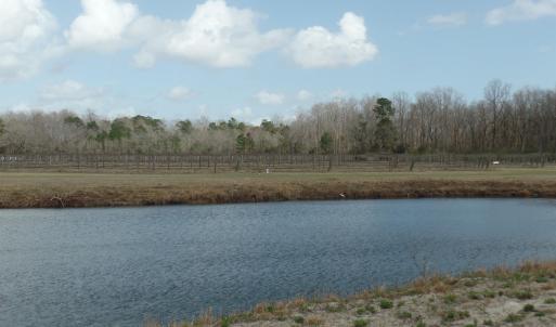 Photo #3 of 1717 Heritage Rd., Loris, SC 51.3 acres