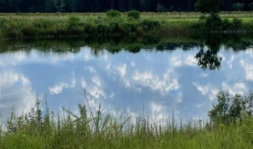 Photo #27 of 1717 Heritage Rd., Loris, SC 51.3 acres