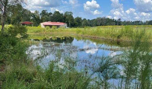 Photo #23 of 1717 Heritage Rd., Loris, SC 51.3 acres