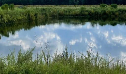 Photo #29 of 1717 Heritage Rd., Loris, SC 51.3 acres