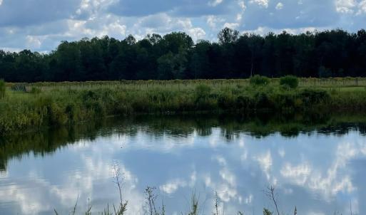 Photo #26 of 1717 Heritage Rd., Loris, SC 51.3 acres