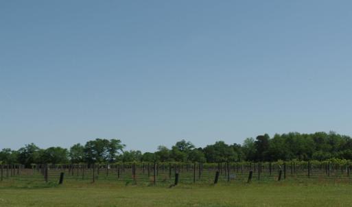 Photo #18 of 1717 Heritage Rd., Loris, SC 51.3 acres