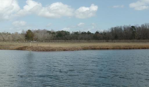 Photo #5 of 1717 Heritage Rd., Loris, SC 51.3 acres