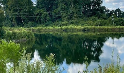 Photo #31 of 1717 Heritage Rd., Loris, SC 51.3 acres