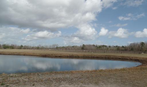 Photo #2 of 1717 Heritage Rd., Loris, SC 51.3 acres