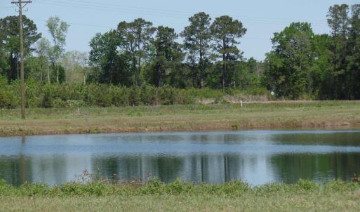 Photo #20 of 1717 Heritage Rd., Loris, SC 51.3 acres