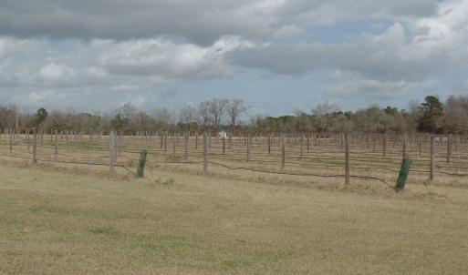 Photo #6 of 1717 Heritage Rd., Loris, SC 51.3 acres