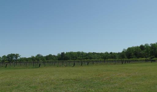 Photo #17 of 1717 Heritage Rd., Loris, SC 51.3 acres