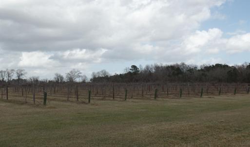 Photo #9 of 1717 Heritage Rd., Loris, SC 51.3 acres