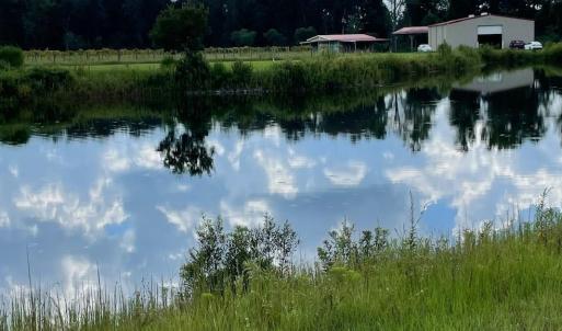 Photo #28 of 1717 Heritage Rd., Loris, SC 51.3 acres