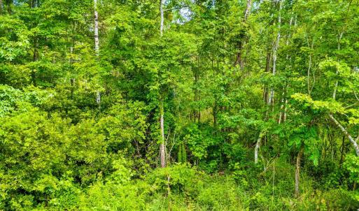 Photo #5 of TBD Highway 111, Little River, SC 8.4 acres