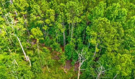 Photo #10 of TBD Highway 111, Little River, SC 8.4 acres