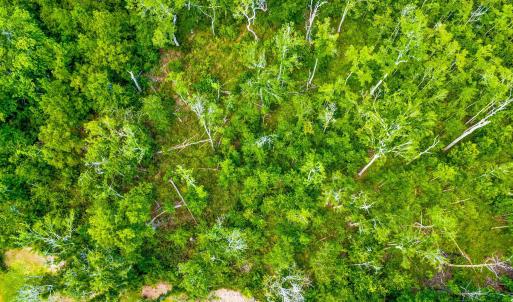 Photo #9 of TBD Highway 111, Little River, SC 8.4 acres