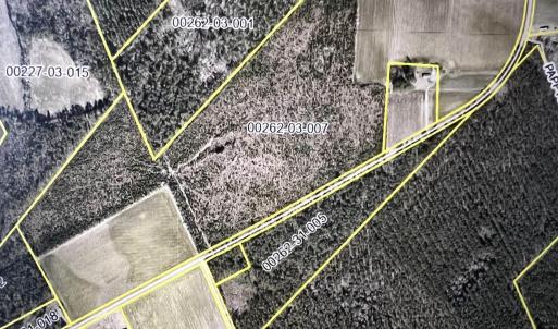 Photo #1 of 1677 Cockfield Rd., Scranton, SC 7.4 acres